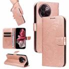 For vivo V30E / V40 Lite Global Swallowtail Butterfly Embossed Leather Phone Case(Rose Gold) - 1