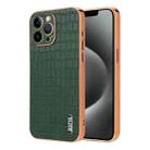 For iPhone 13 Pro AZNS Electroplated Frame Crocodile Texture Full Coverage Phone Case(Green) - 1