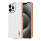 For iPhone 13 Pro Max AZNS Electroplated Frame Crocodile Texture Full Coverage Phone Case(White) - 1