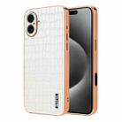 For iPhone 16 Plus AZNS Electroplated Frame Crocodile Texture Full Coverage Phone Case(White) - 1