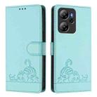 For Blackview Oscal Tiger 13 Cat Rat Embossed Pattern RFID Leather Phone Case with Lanyard(Mint Green) - 2