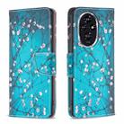 For Honor 200 Colored Drawing Pattern Leather Phone Case(Plum Blossom) - 1