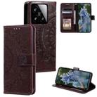 For Xiaomi 15 Totem Flower Embossed Leather Phone Case with Lanyard(Brown) - 1