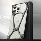 For iPhone 15 Pro Max Hercules Zinc Alloy Borderless Metal Phone Case(Bright Metal Grey) - 1