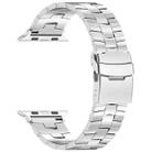 For Apple Watch SE 2023 44mm Rice Ears Safety Buckle Titanium Alloy Watch Band(Silver) - 2