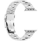 For Apple Watch SE 2023 44mm Rice Ears Safety Buckle Titanium Alloy Watch Band(Silver) - 3