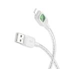 hoco U124 2.4A USB to 8 Pin Smart Power-off Data Cable, Length: 1.2m(Grey) - 1