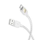 hoco U124 3A USB to USB-C / Type-C Smart Power-off Data Cable, Length: 1.2m(Grey) - 1