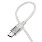hoco U129 Spirit 1.2m 3A USB to USB-C / Type-C Transparent Charging Data Cable(Grey) - 3