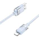 hoco U132 Beijing 1.2m 2.4A USB to 8 Pin Charging Data Cable(Grey) - 3