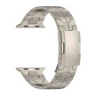 For Apple Watch Series 9 45mm Turtle Buckle Titanium Alloy Watch Band(Titanium) - 2