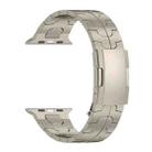 For Apple Watch Series 8 45mm Turtle Buckle Titanium Alloy Watch Band(Titanium) - 2