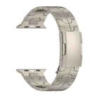 For Apple Watch SE 2023 40mm Turtle Buckle Titanium Alloy Watch Band(Titanium) - 2