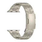 For Apple Watch SE 40mm Turtle Buckle Titanium Alloy Watch Band(Titanium) - 2