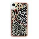 For iPhone XR Marble Series Stars Powder Dropping Epoxy TPU Protective Case(Leopard Plaid) - 1