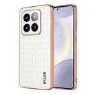 For Xiaomi 14 Pro AZNS Electroplated Frame Crocodile Texture Full Coverage Phone Case(White) - 1