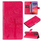 For Motorola Edge 50 Pro Tree & Cat Embossed Pattern Flip Leather Phone Case(Rose Red) - 1