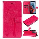 For Motorola Moto G34 Tree & Cat Embossed Pattern Flip Leather Phone Case(Rose Red) - 1