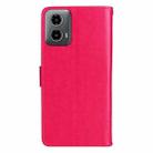 For Motorola Moto G34 Tree & Cat Embossed Pattern Flip Leather Phone Case(Rose Red) - 3