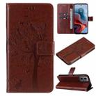 For Motorola Moto G34 Tree & Cat Embossed Pattern Flip Leather Phone Case(Coffee) - 1