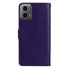 For Motorola Moto G34 Tree & Cat Embossed Pattern Flip Leather Phone Case(Purple) - 3