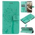 For Motorola Edge 50 5G Tree & Cat Embossed Pattern Flip Leather Phone Case(Green) - 1