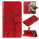 For Motorola Edge 50 5G Tree & Cat Embossed Pattern Flip Leather Phone Case(Red) - 1