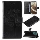 For Motorola Edge 50 5G Tree & Cat Embossed Pattern Flip Leather Phone Case(Black) - 1