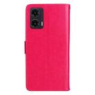 For Motorola Moto G35 Tree & Cat Embossed Pattern Flip Leather Phone Case(Rose Red) - 3