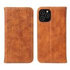 For iPhone 12 / 12 Pro Fierre Shann Retro Tree Bark Texture PU Magnetic Horizontal Flip Leather Case with Holder & Card Slots & Wallet(Brown) - 1