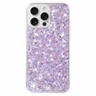 For iPhone 13 Pro Max Transparent Frame Glitter Powder TPU Phone Case(Purple) - 1