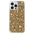 For iPhone 13 Pro Max Transparent Frame Glitter Powder TPU Phone Case(Gold) - 1