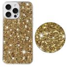 For iPhone 13 Pro Max Transparent Frame Glitter Powder TPU Phone Case(Gold) - 2