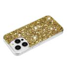 For iPhone 13 Pro Max Transparent Frame Glitter Powder TPU Phone Case(Gold) - 3