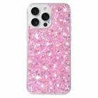 For iPhone 13 Pro Transparent Frame Glitter Powder TPU Phone Case(Pink) - 1