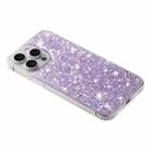 For iPhone 13 Pro Transparent Frame Glitter Powder TPU Phone Case(Purple) - 3