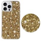 For iPhone 15 Pro Max Transparent Frame Glitter Powder TPU Phone Case(Gold) - 2