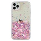 For iPhone 11 Pro Max Transparent Frame Noctilucent Glitter Powder TPU Phone Case(Pink) - 2