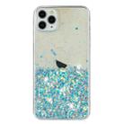 For iPhone 11 Pro Max Transparent Frame Noctilucent Glitter Powder TPU Phone Case(Blue) - 2