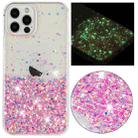 For iPhone 12 Pro Max Transparent Frame Noctilucent Glitter Powder TPU Phone Case(Pink) - 1