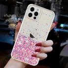 For iPhone 12 Pro Max Transparent Frame Noctilucent Glitter Powder TPU Phone Case(Pink) - 3