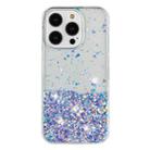 For iPhone 13 Pro Max Transparent Frame Noctilucent Glitter Powder TPU Phone Case(Purple) - 2