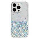 For iPhone 14 Pro Max Transparent Frame Noctilucent Glitter Powder TPU Phone Case(White) - 2