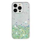 For iPhone 15 Pro Max Transparent Frame Noctilucent Glitter Powder TPU Phone Case(Green) - 2