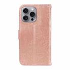 For iPhone 16 Pro Max Swallowtail Butterfly Embossed Leather Phone Case(Rose Gold) - 3