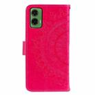 For Motorola Moto G35 Totem Flower Embossed Leather Phone Case with Lanyard(Red) - 3