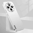 For vivo Y300 Pro Streamer Series Micro Frosted Metal Paint PC Phone Case(Silver) - 1