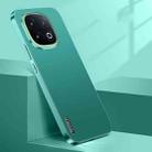 For vivo iQOO 13 Streamer Series Micro Frosted Metal Paint PC Phone Case(Alpine Green) - 1