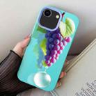 For iPhone 7 / 8 / SE 2022 Grape Pattern PC Hybrid TPU Phone Case(Sky Cyan) - 1