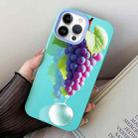 For iPhone 12 Pro Max Grape Pattern PC Hybrid TPU Phone Case(Sky Cyan) - 1